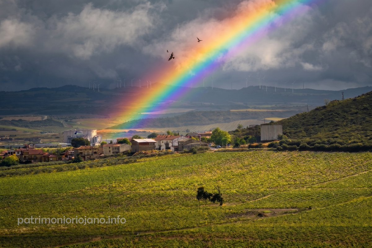PatrimonioRioja's tweet photo. Días de primavera. 
Paisajes del viñedo junto al Ebro.
Por el meandro de El Cortijo, avistando la orilla contraria de Laserna. 
🌈🏞️💚🍇✨ https://t.co/JW9DuYjbep