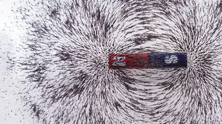 the_wilderless's tweet photo. Arranging iron filings in perfect imitation of a magnetic field will never create a magnetic field

Dropping iron filings into a magnetic field will naturally, inevitably arrange them to express its shape

This is how literally everything works https://t.co/rghJPyxow6