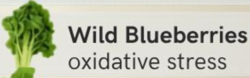 MelmontC's tweet photo. @DrKristieLeong Is this what wild blueberries look like? https://t.co/w6zoCdRcRK