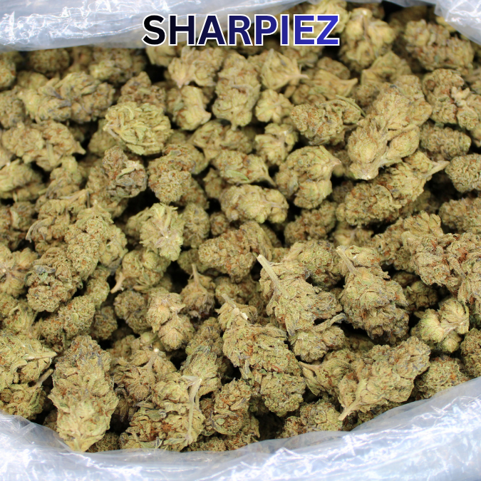 Cportmerch's tweet photo. Adult Use Only 21+ ⚠️
#TSB discount code: CPORT 💸
#Sharpiez THCA Flower
Fresh Batch Of Light Assist Greenhouse Grown THCA Flower
This Strain Is A Must Try While Supplies Lasts
30% Average #THCA Potency
Package Protection is available
https://t.co/FTAC6tAkaM
#Hemp #BulkTHCA https://t.co/ZFxNEAJNEb