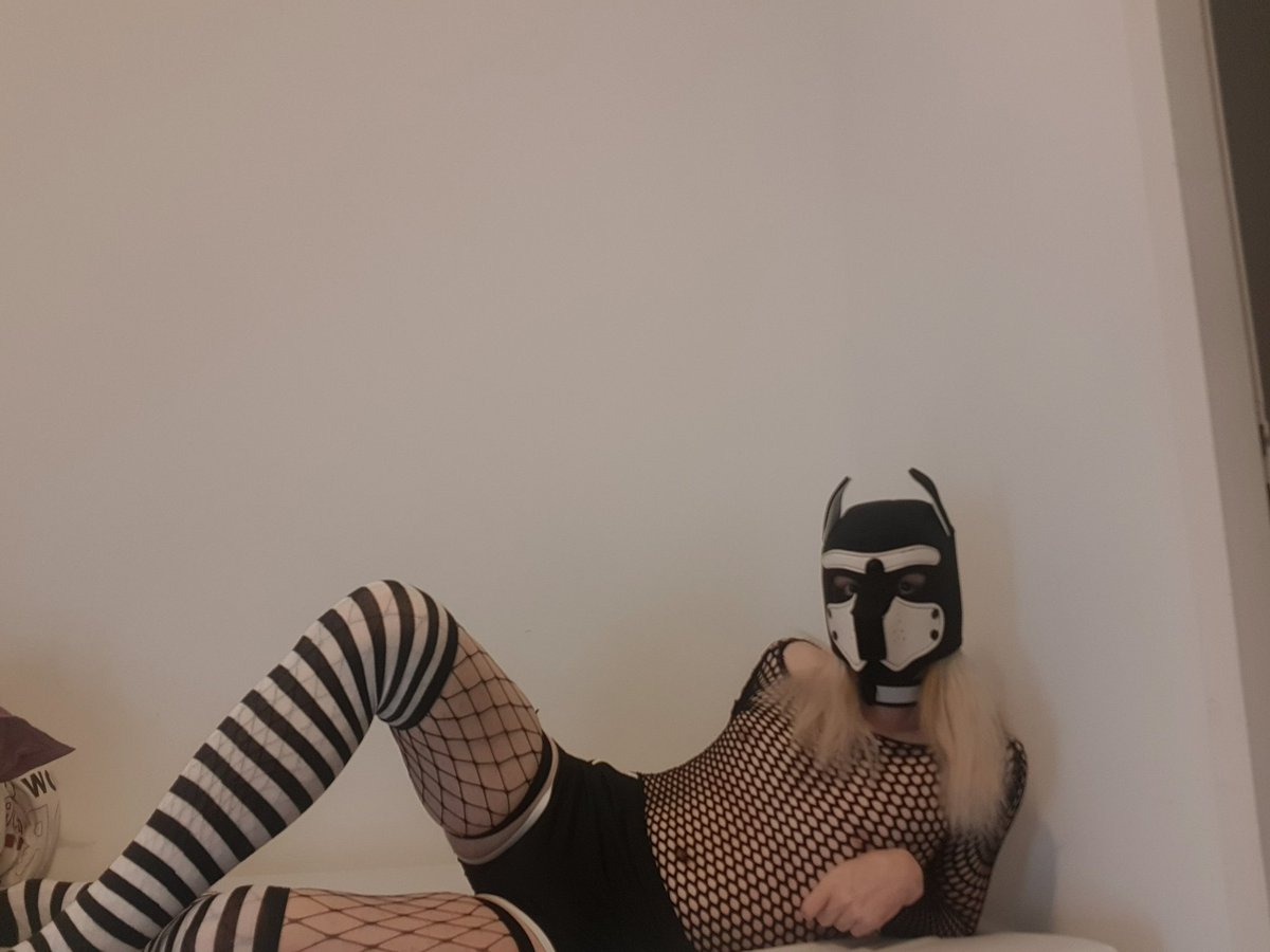ZehiPup's tweet photo. Petit femboy pup qui attends sur ton lit
#femboy #puppyplay https://t.co/trGGM9YPO0
