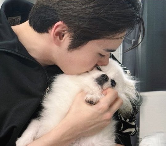gangchiwalwal's tweet photo. 욕망의 햄주댕 어게인 https://t.co/2OGfbDz6QB