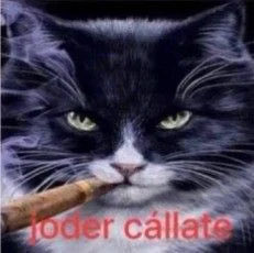 Chrskyq's tweet photo. como cuando abre su pinche boca para hablar https://t.co/99wHyTwh1x