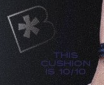 hateis0nme's tweet photo. @BWB_store THIS CUSHION IS 10/10

#TENCORE0110iscalling #TENCORE0110Concert https://t.co/LlMAIT3aQ4