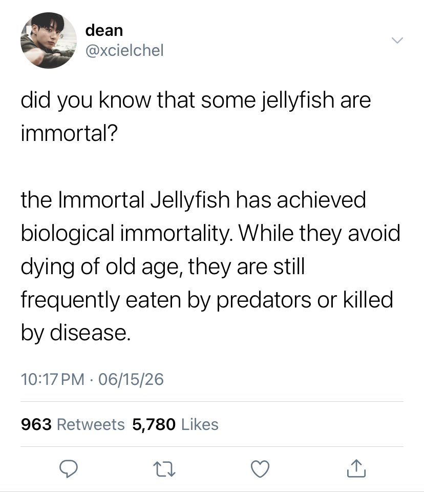 kyuviline's tweet photo. ☆ — • 397. immortal jellyfish https://t.co/v1deA7auNa