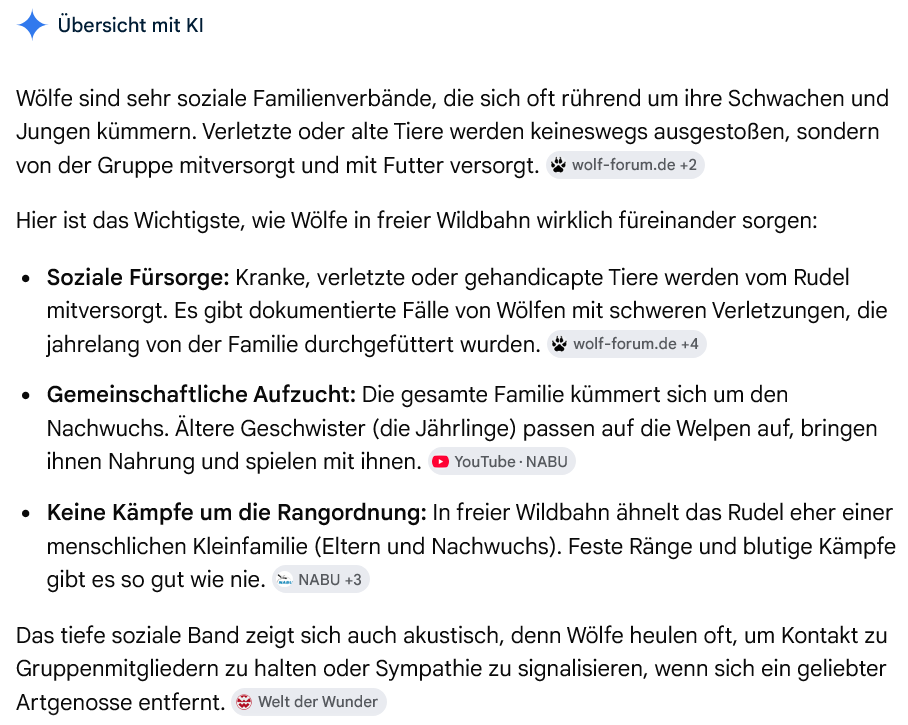 CoolNix3's tweet photo. @welt Hier das Verhalten der Wölfe. https://t.co/YHYoJlpQIY