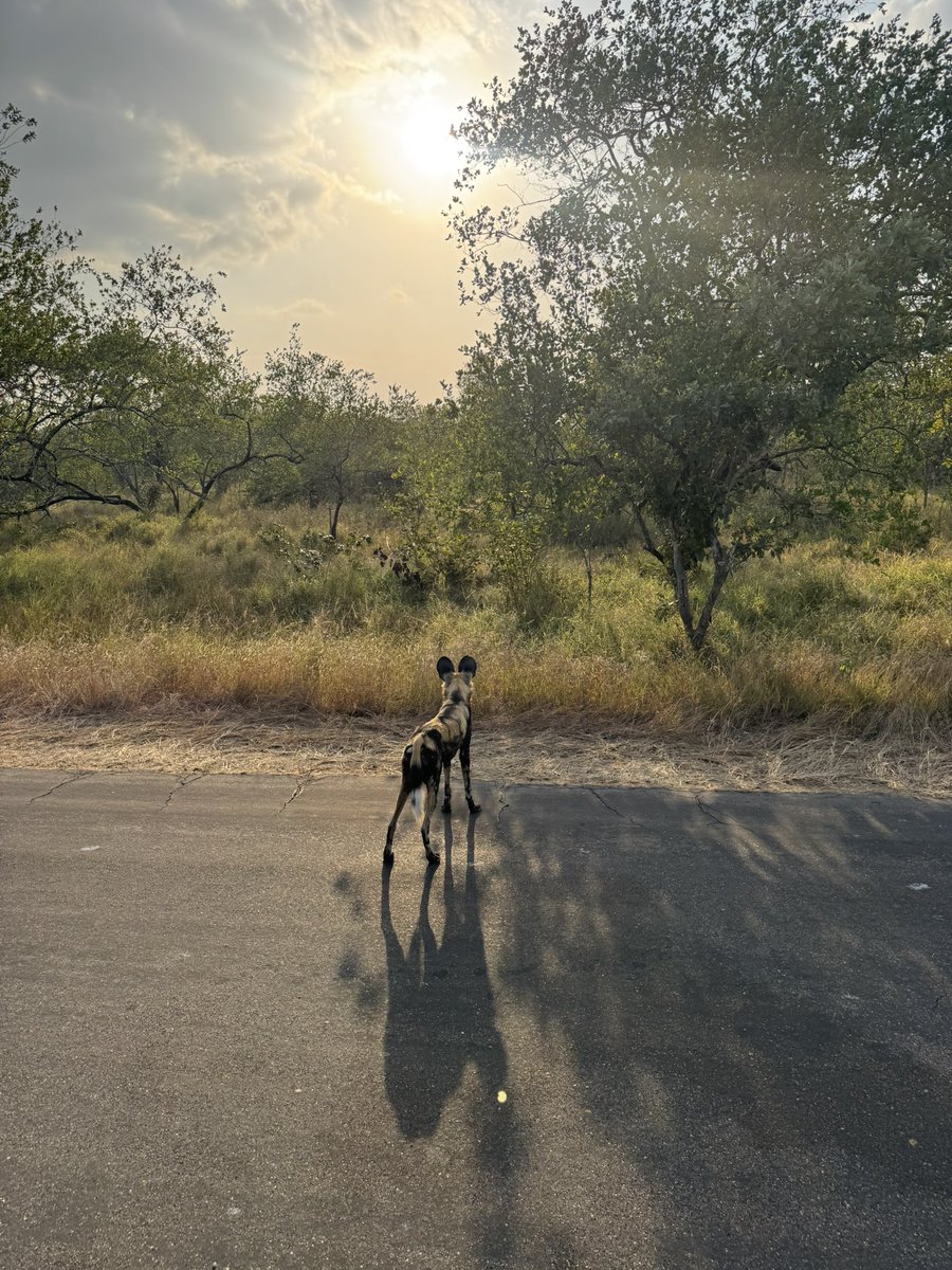 sibekoziyanda's tweet photo. 🥂 https://t.co/0XhhiSxVcO