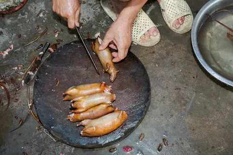 grandsoldeus's tweet photo. Stop eating dog scrotum, snakes, rats, frogs, bats, insects, you libtard. 
They even have a recipe @YouTube Tutorial. Idk why @peta didn't report it. People are so vile. 
https://t.co/Wx3DgEiG1q
Bring more bots who are hiding behind VPN. 

@aravind help me fight them.
#helevier https://t.co/zJ1Usx7acv