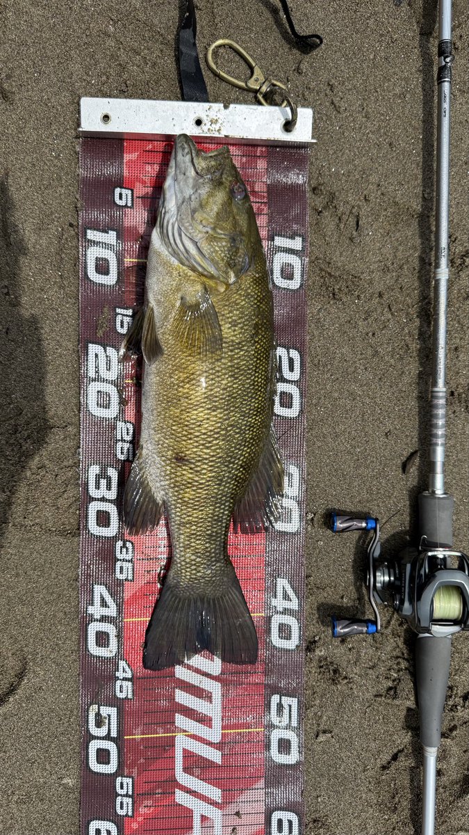 Hi0113Ai's tweet photo. ①④🎣

#ハートランド
#川
#スモールマウスバス
#釣果投稿 https://t.co/lckkAy2L0V