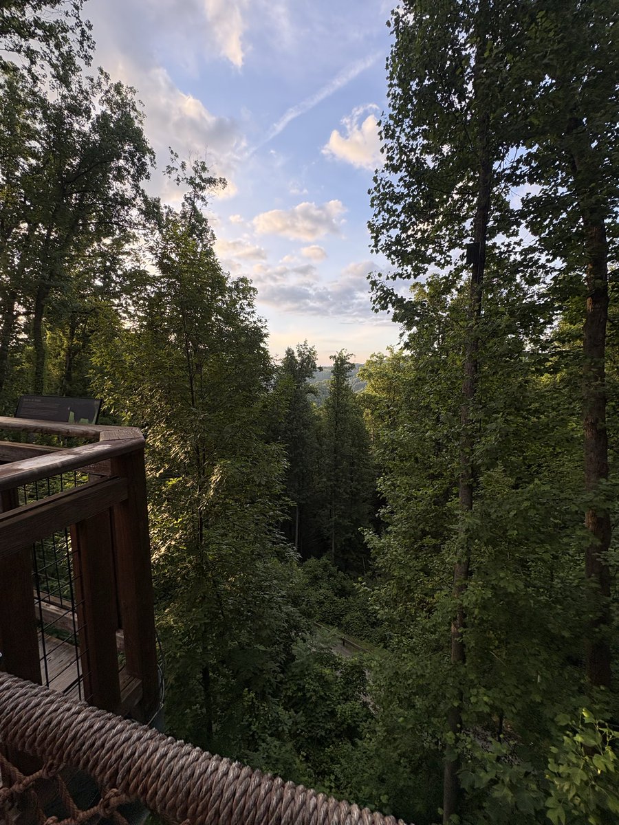 vPhanttom's tweet photo. Trip to gatlinburg for the weekend was def needed https://t.co/ebAt8YWIYA