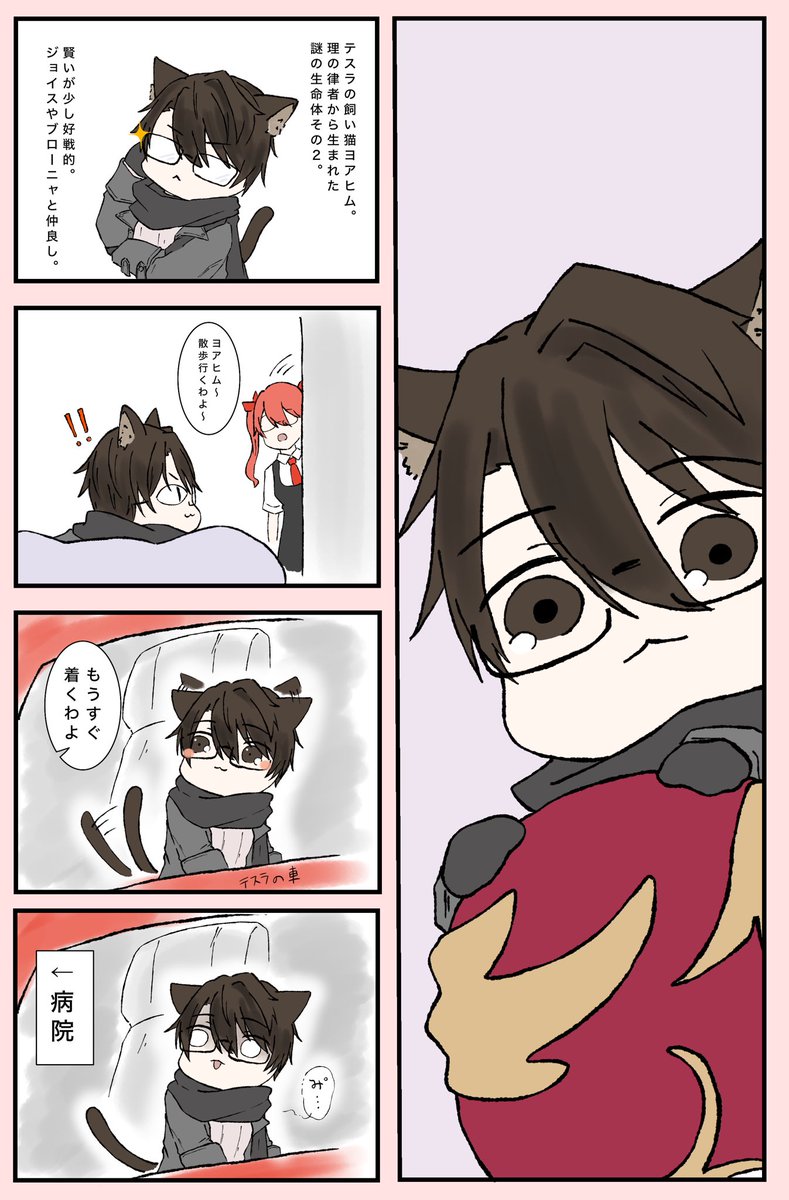 QkB57454's tweet photo. ヴェ猫 https://t.co/6ILCmASMXc