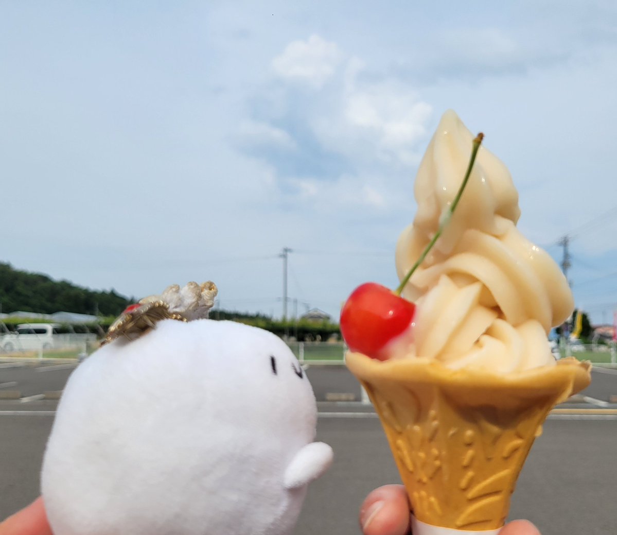 toshipi0320's tweet photo. 車に戻り再び北上🚗³₃
福島ﾌﾙｰﾂﾗｲﾝの果樹園に到着！
受付を済ませ、いざ！さくらんぼ✨✨

『宝石のようにキラキラやで✨』(by  謎の発光体)

佐藤錦を沢山食べて大満足😋
帰りに直売所で期間限定さくらんぼのソフトクリーム🍒🍦
めちゃさくらんぼ🥰

 #あざらしさん
 #さくらんぼ狩り https://t.co/hLrFuWZEOn