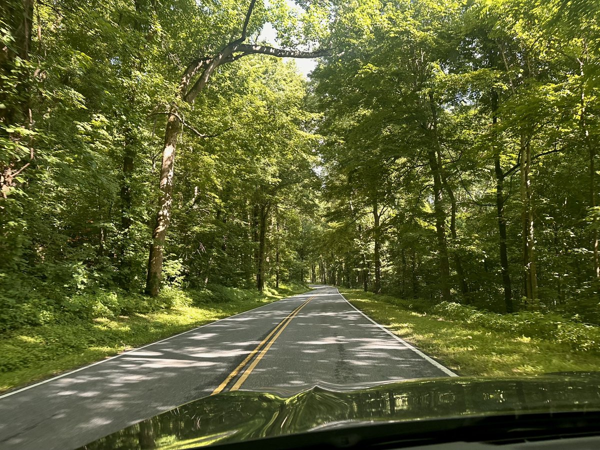 AmandaMashburn's tweet photo. It was a perfect morning to drive through the Smokies. Up in Pigeon Forge for the day for a baseball tournament. https://t.co/4dpSFZvMvl