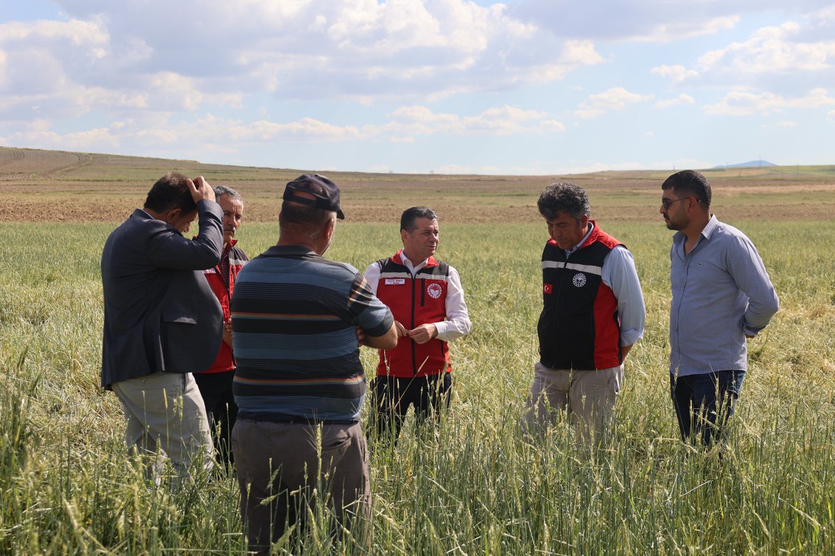 nevsehiriltarim's tweet photo. Aşırı Yağış ve Dolu Sonrası Hasar Tespit Çalışmaları Devam Ediyor
İl Tarım ve Orman Müdürü Özgür Memiş, 13 Haziran 2026 tarihinde etkili olan aşırı yağışlar sonucu meydana gelen dolu ve sel afetinden etkilenen bölgelerde incelemelerde bulundu. 
@TCTarim 
#Nevşehir https://t.co/g42f8SvfZ5