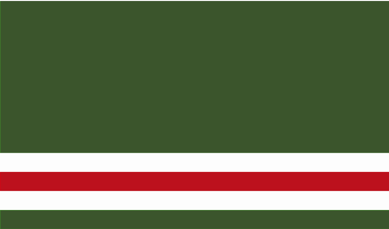 ChechenGov tweet picture