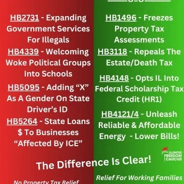 sbalich's tweet photo. Are Counties Dead? Springfield is stripping our local authority! We must stop their push to control local government. Government must live within its budget. Get the facts and speak out! https://t.co/mKXlW7gZsF https://t.co/2jRDCF7jWm
