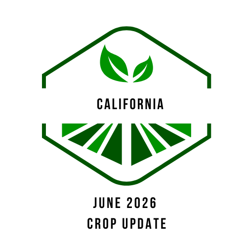 Pacific_Seed's tweet photo. Stay updated with the latest California crop reports as of June 12th from PSA! Check them out here: 

https://t.co/KAJJG5yfYZ https://t.co/tVRBpxP1sn