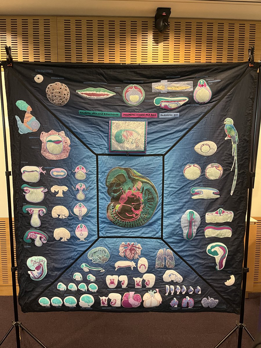YEN_community's tweet photo. Come check out the art exhibition, titled “Inside Pregnancy: Creative perspectives on Reproductive Biology.”Enjoy a unique visual exploration of reproductive science, blending scientific insight with artistic interpretation 🎨 https://t.co/K1pGgZqwTm