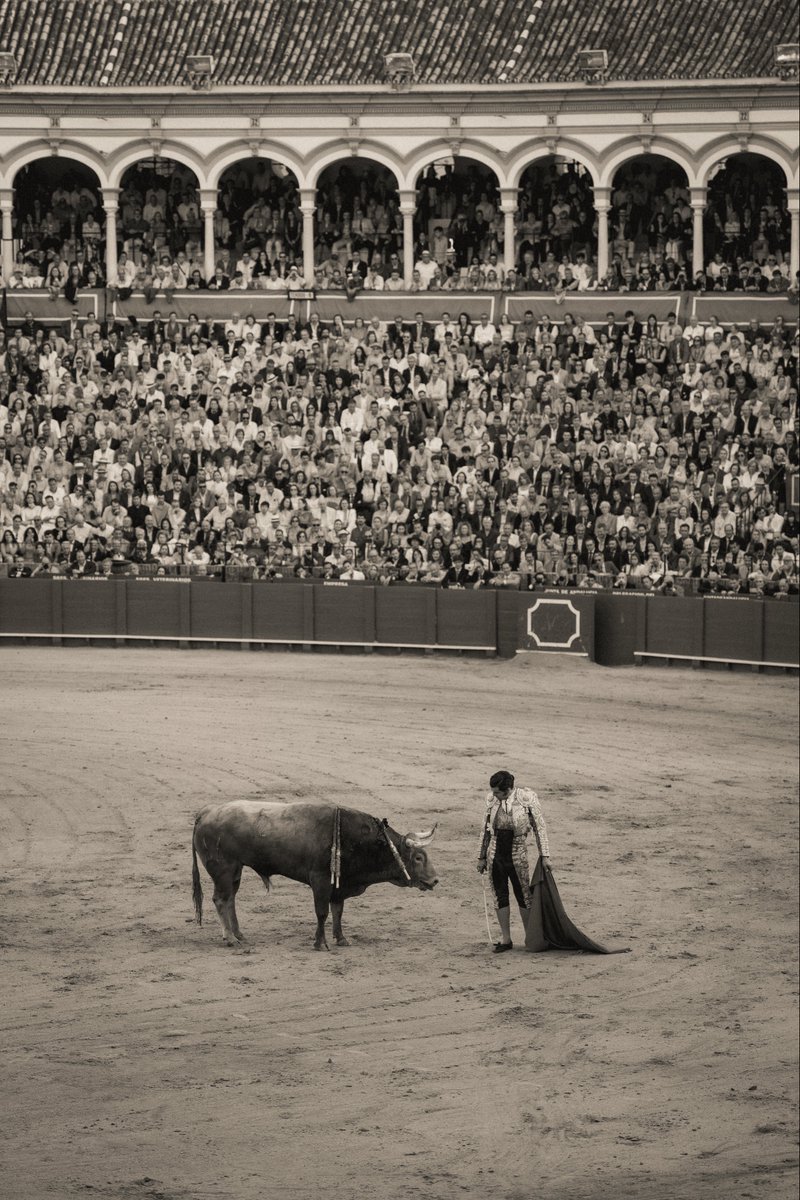 herran_murillo's tweet photo. Morante y Sevilla https://t.co/Od9yub4dnT
