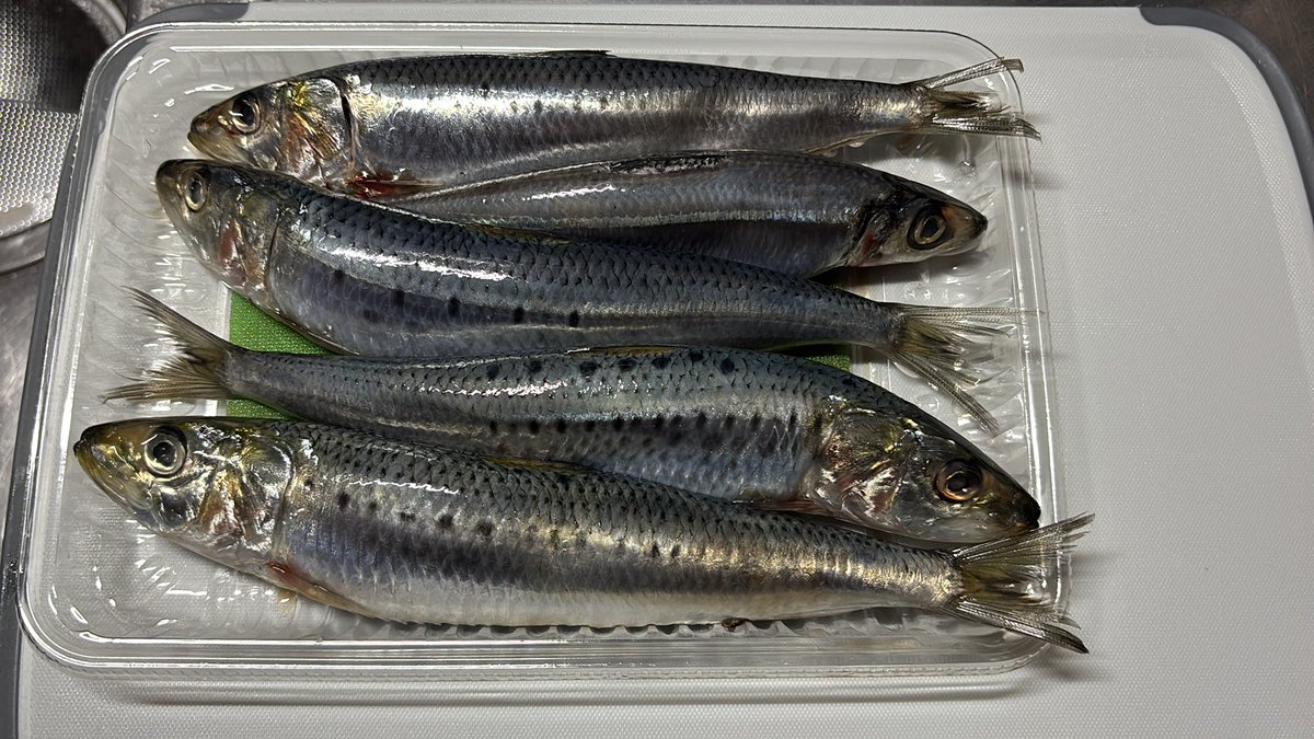 kappa_eats's tweet photo. こんな時間なのに鰯を捌いています https://t.co/GtMU7QfuNw