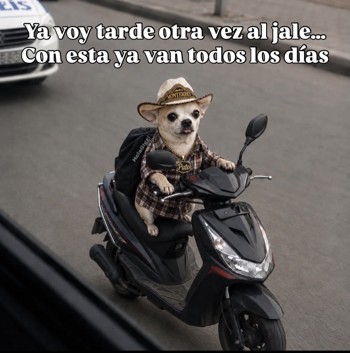 caramjose's tweet photo. Así mero 😅 https://t.co/vtZ1tqu4pR