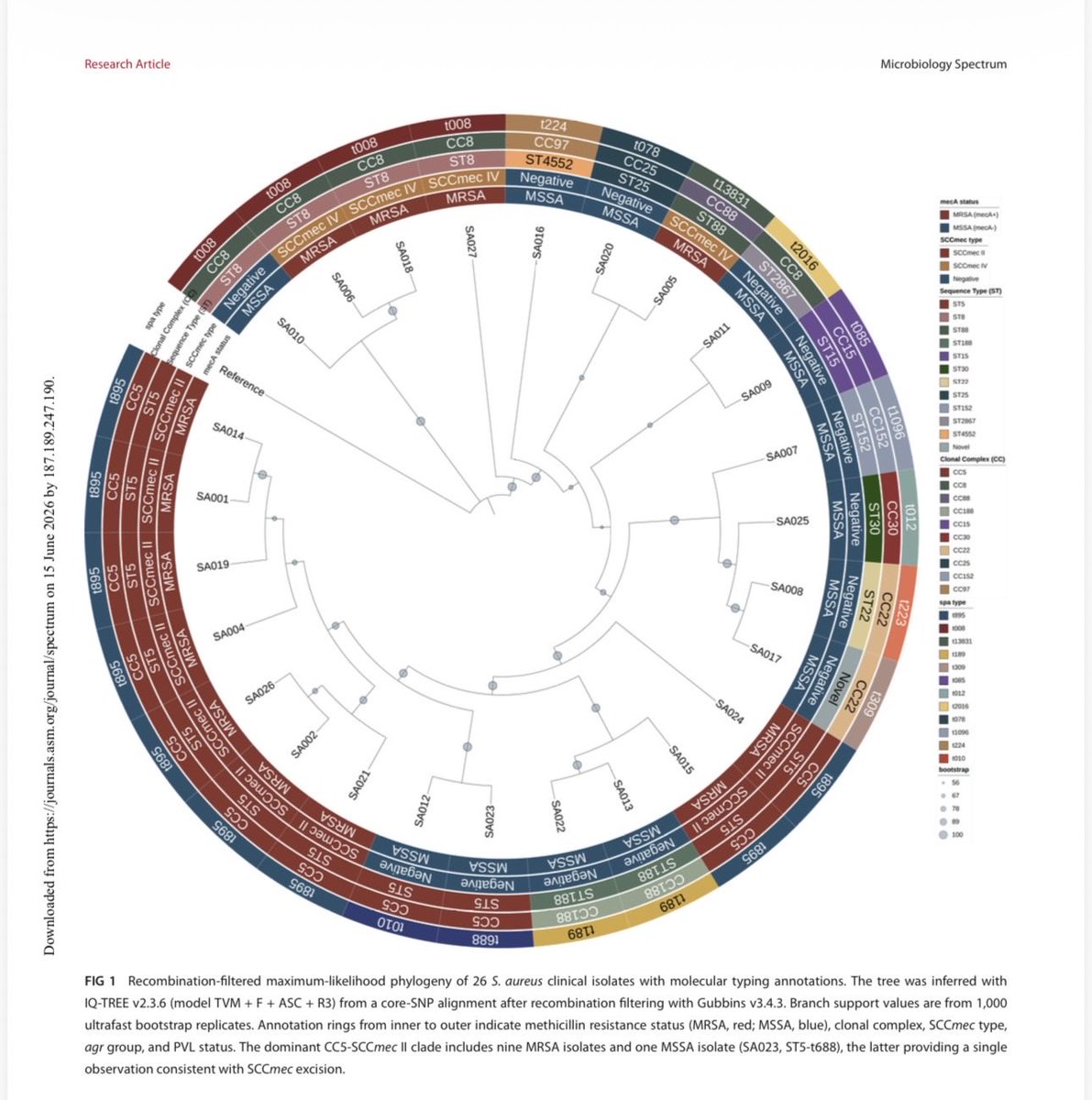 PedroMtz_ID's tweet photo. 🧬 New study in Microbiology Spectrum (ASM): we used whole-genome sequencing to characterize the S. aureus population at a university referral hospital in Guadalajara, Mexico, after a decade-long MRSA decline (28% → 14%). @jaibri1 @jcfiller https://t.co/vsGSEUcX0Y