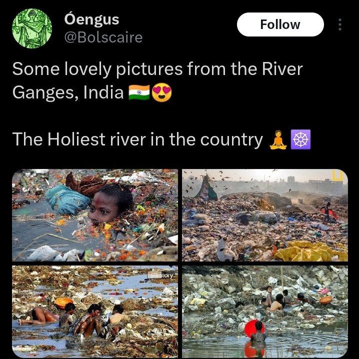 Curious tweet media