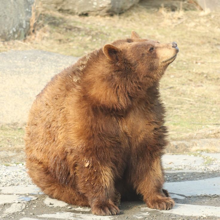 NatureLover_502's tweet photo. no i won't talk to you https://t.co/cI35dRpgtt