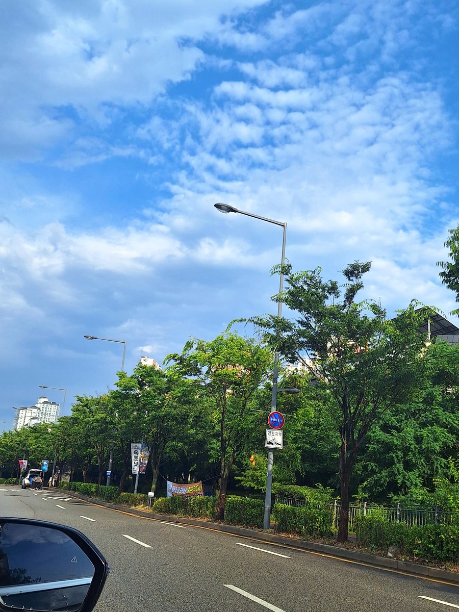 ❌️미코🎲(일주일동안 냥체) tweet media