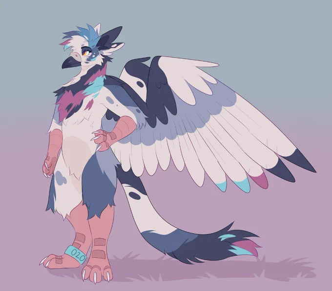 Pigeon gryph