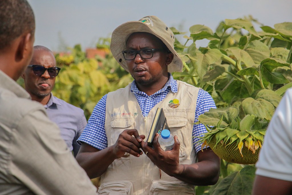 AgriGabiro's tweet photo. GAH is proud to support agricultural research and innovation.

Today we hosted Theophile Niragire, Lecturer at RP-Musanze College and PhD Researcher at Cukurova University (Türkiye), who is conducting research on optimizing irrigation water levels for drip-irrigated sunflower https://t.co/VqGi86Nxif