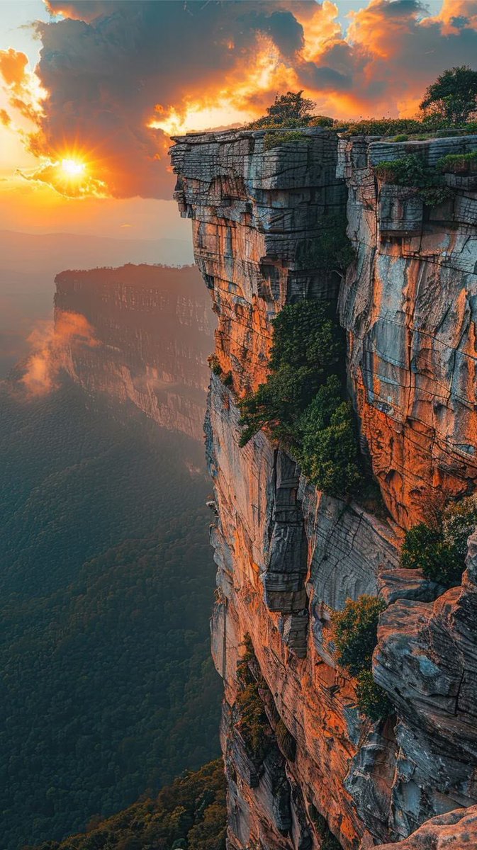 nature_c2ngn's tweet photo. Blue Mountains National Park, Australia https://t.co/5eEwKUgY6y