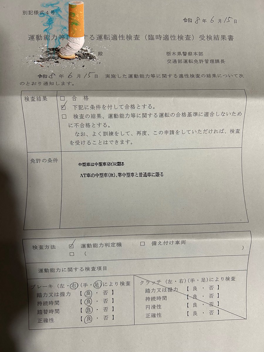 syun_nami's tweet photo. お久しぶりの投稿となります。🙇なんとか生きながらえておりますw🫨妻の車で送迎され、念願のゴールド免許更新、行ってきました！✨🪪

「AT車の中型車(8t)、準中型車と普通車に限る」という新しい条件を背負っての再出発になりますが、運動能力適性検査も無事にパス！条件付き合格を勝ち取りました。🚗💨

マニュアルからオートマ限定への格下げなんて、これからの未来の選択肢を残せたことに比べれば小さな勲章のようなものです。🎖️

歩行器での移動だって、のそのそでも進んでいれば必ず目的地に辿り着けます。今日のこのゴールド免許は、私にとって最高に「GOOD VIBES」なパスポートになりました。🪄🦎

応援してくださった皆さん、ありがとうございました❤️‍🔥☮️

#朝霧GECKO #免許更新 #ゴールド免許保持者 #左半身麻痺 #リハビリ #条件付き合格 #ポジティブライフ