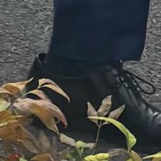 clashreport's tweet photo. 📸 Marco Rubio still wearing visibly oversized dress shoes — reportedly gifts from Trump, who bought matching Florsheims for his whole cabinet without measuring sizes. 

The shoes are so big Rubio's toes curl to keep them on while walking. https://t.co/ewPlY3fHhE