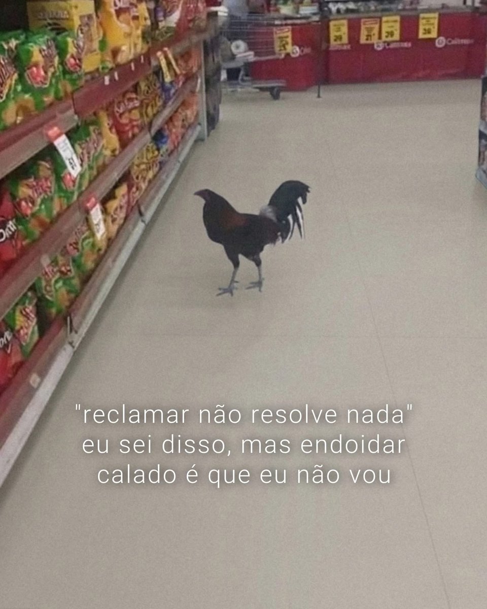 paginalixo1's tweet photo. https://t.co/QnpTchKDQq