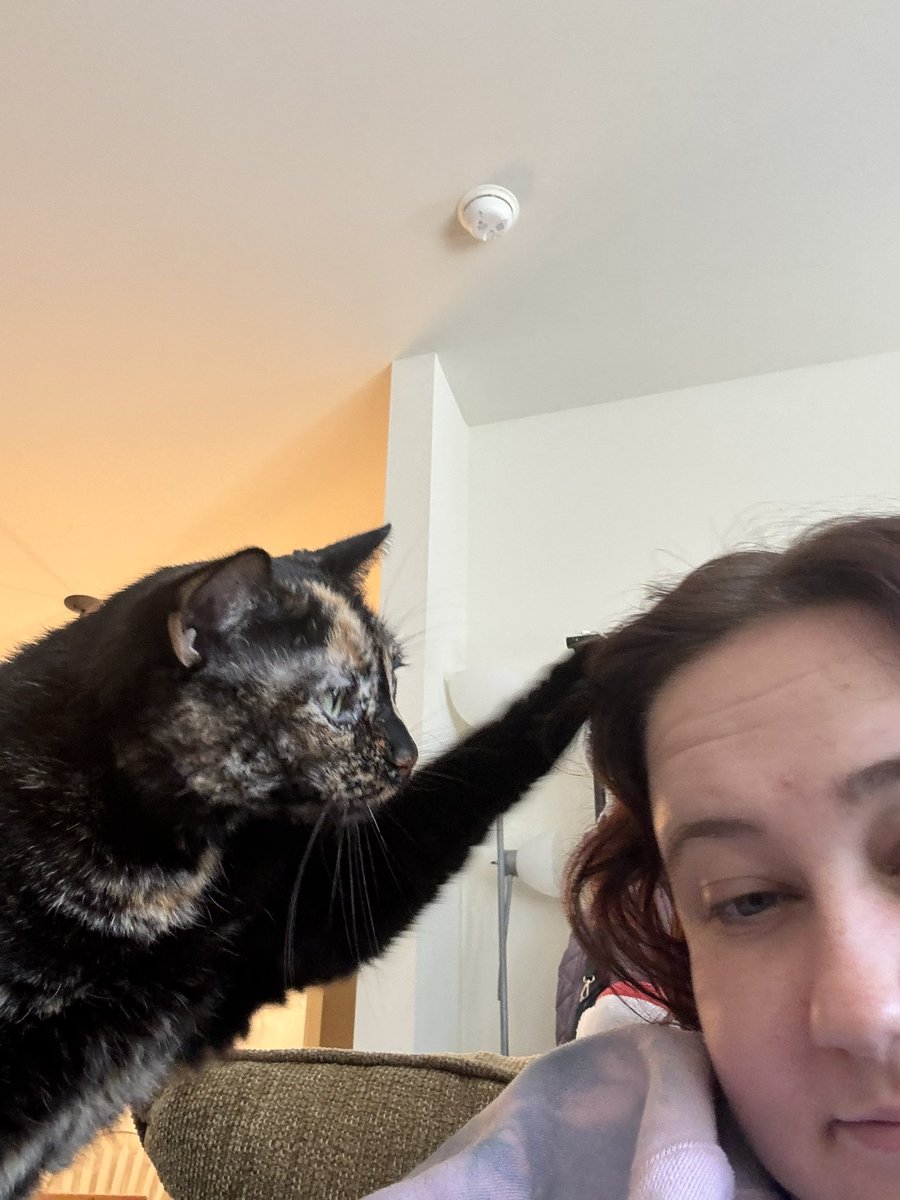babiebabka's tweet photo. ime pat pat momby. tabols have torn’d https://t.co/3ABYftg0DH