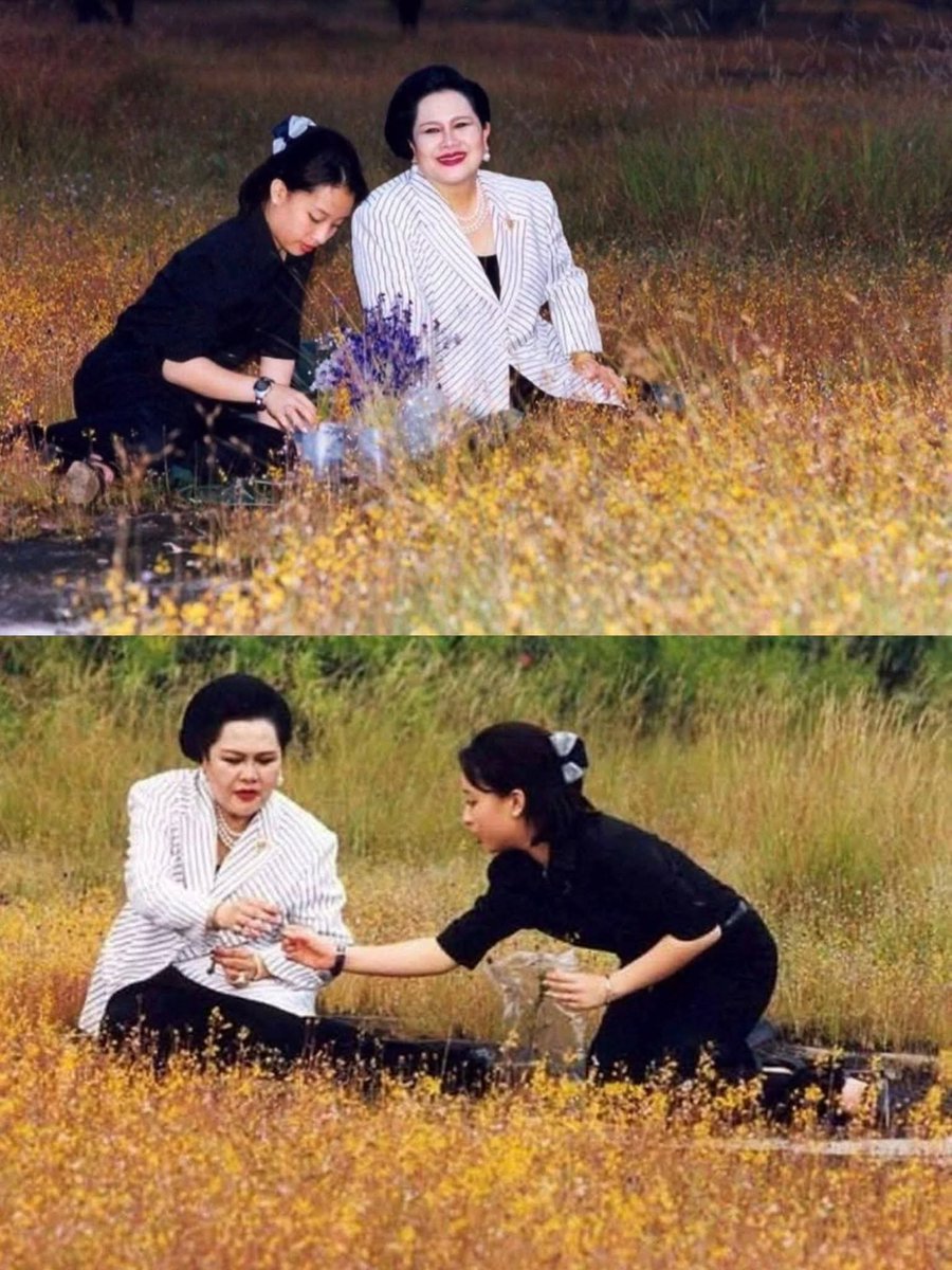 Catter65422769's tweet photo. เสด็จพระราชดำเนินเป็นการส่วนพระองค์ เพื่อทอดพระเนตรทุ่งดอกไม้ป่า ณ บริเวณน้ำตกสร้อย
สวรรค์ อุทยานแห่งชาติผาแต้ม จังหวัด
อุบลราชธานี 
เมื่อวันที่ ๒๒ พฤศจิกายน ๒๕๔๒

:ขอบคุณข้อมูลจาก อุทยานแห่งชาติผาแต้ม

#น้อมสำนึกในพระมหากรุณาธิคุณเป็นล้นพ้นอันหาที่สุดมิได้ https://t.co/jhe8GUJmgj