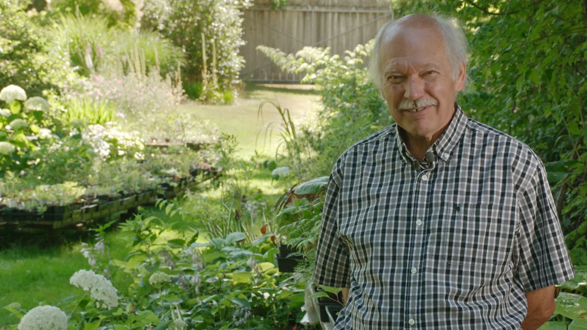 VisionTV's tweet photo. In tonight's episode of #VisionaryGardeners, meet Dan Schwarz and Vel Rhodes, a retired couple who have tended a 5-acre garden for decades, featuring drifts of the rare meconopsis poppy, rhododendrons, and primula vulgaris growing in a meadow larger than most people's entire garden.

Our premiere of Season 3 continues tonight at 9pm ET! @VisionGardeners 
https://t.co/9Nwuguj7wR