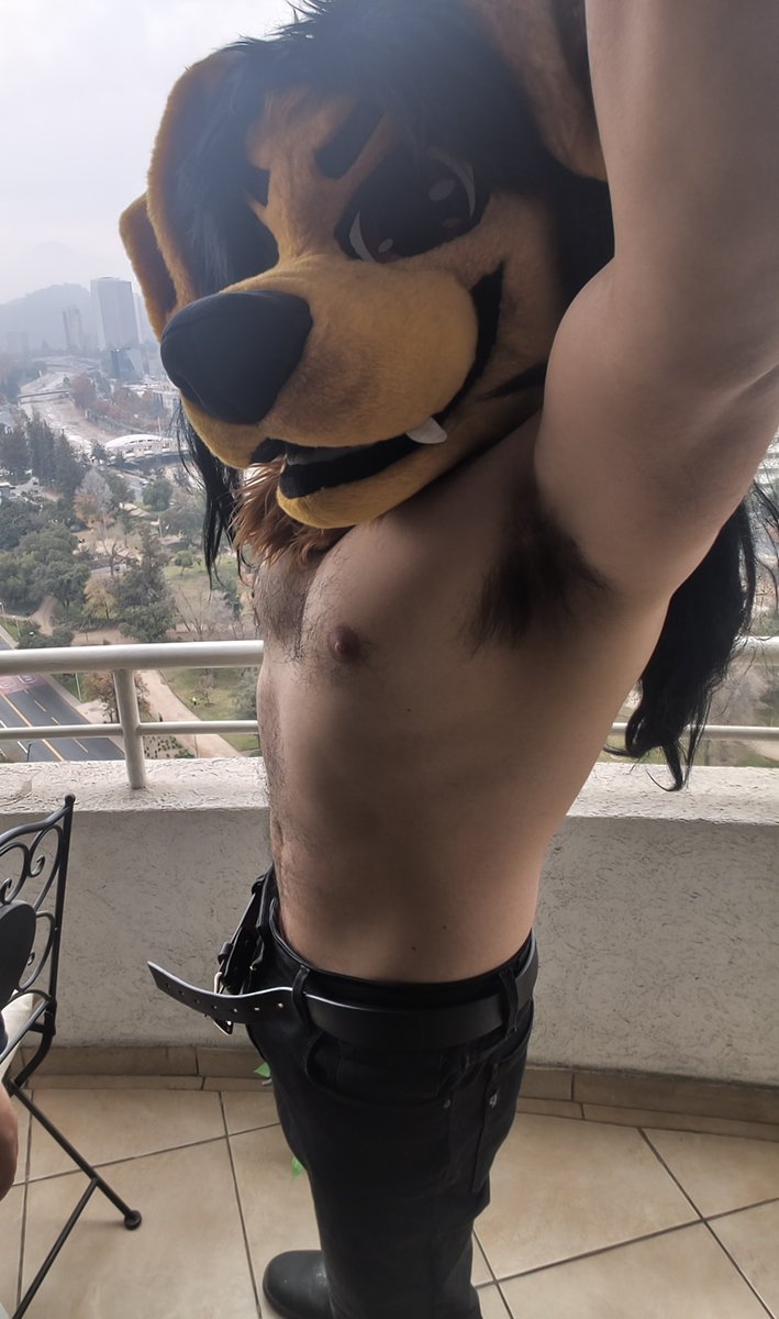 werepawslut's tweet photo. Woof https://t.co/y7hbabgTKY