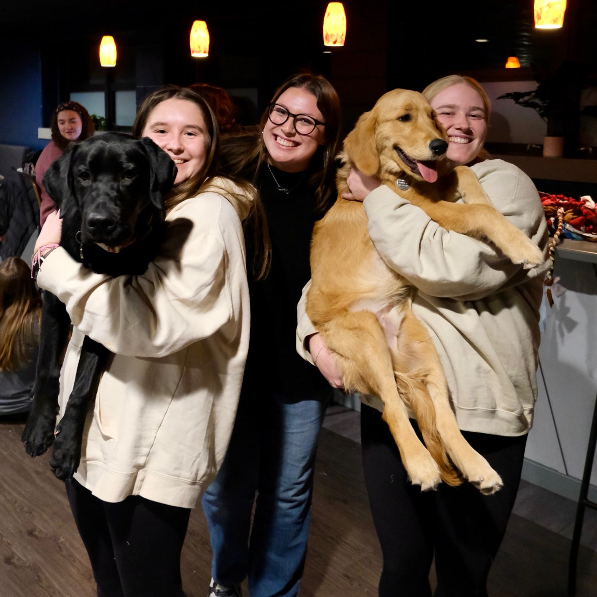 EtownCollege's tweet photo. From one student's idea to a growing campus program, Dogs in the Dell is helping Blue Jay students gain hands-on experience while preparing future service dogs for lives of service! 🐾💙
Learn more about this impactful program: https://t.co/0oIlBj9WK9.
#EducateForService https://t.co/5dewGR9Crb