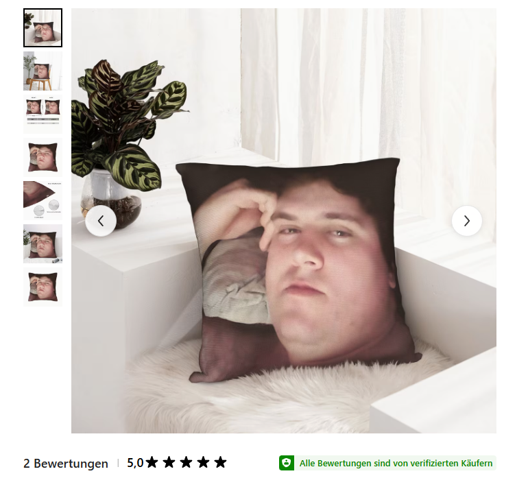 Sankt_Nyx's tweet photo. Frauchen darf die Couch aussuchen,weil ich angeblich kein Geschmack habe. Dafür darf ich neue Kissen kaufne. https://t.co/Fosz6SzhlK