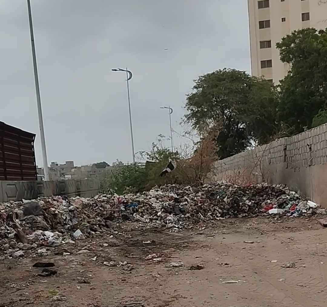 fareed_mamon's tweet photo. @sswmb @SyedNasirHShah @SaeedGhani1 @murtazawahab1 @MayorKarachi This is point after incomplete    but good working  today. 6 truck  garbage lifting this point hopefully fully clean and sweeping area order. https://t.co/W8Z65UctM1