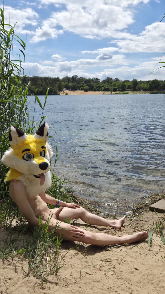 PopcornFurryAD's tweet photo. Warm sun, tan me! ☀️😛

📸: @Apollo_Wusky_AD https://t.co/yy2NUVEsRF