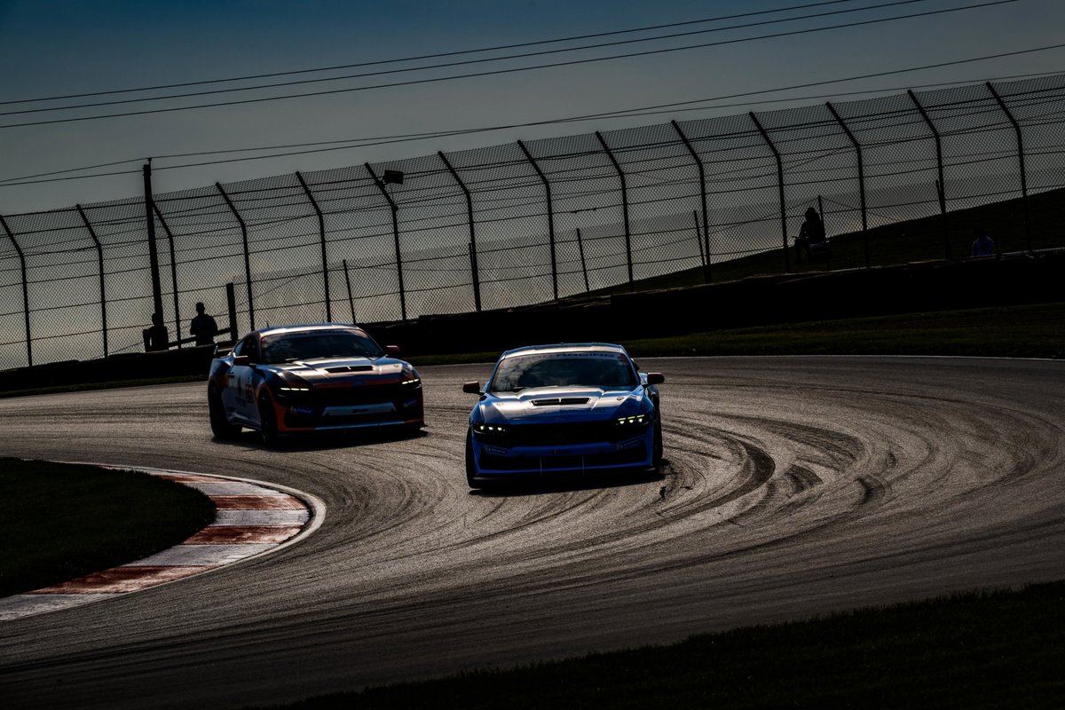MustangChall's tweet photo. Dark Horses in their natural habitat https://t.co/H1IjW8heq8