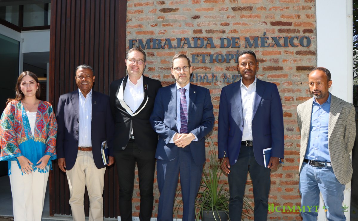 ACCIMMYT's tweet photo. 🇲🇽🤝🇪🇹 Nuestro Director General, Bram Govaerts, se reunió con Alejandro Ives Estivill Castro, Embajador de México en Etiopía.
La ciencia y la cooperación internacional fortalecen el impacto de la investigación agrícola.
#CIMMYT https://t.co/g9L4U89W2S
