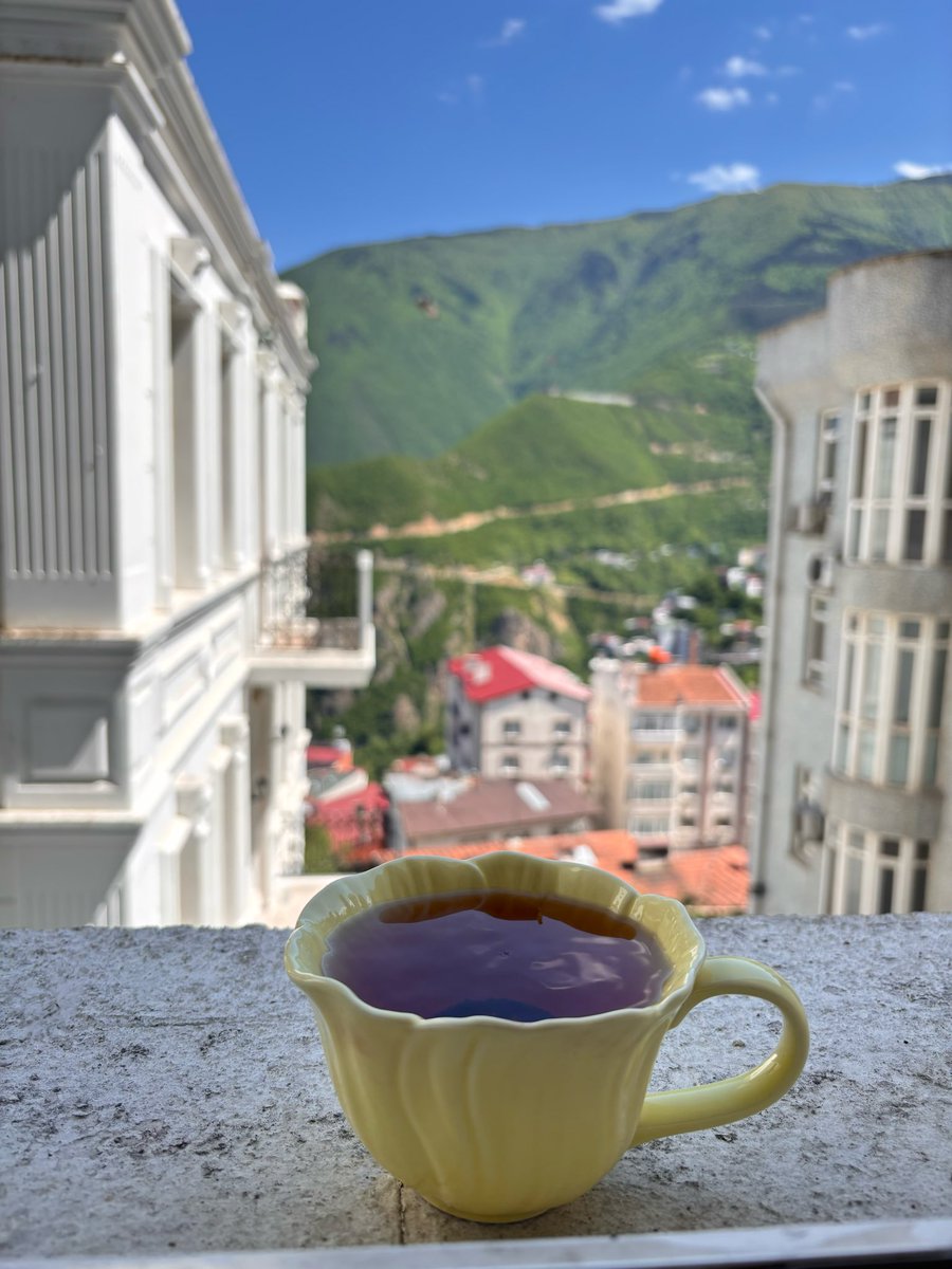 ylz__7's tweet photo. Nöbetteyim ama en azından çay var 🌼 https://t.co/9U7oiwgWwx