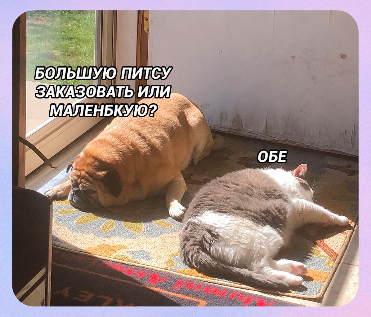 juliamayko's tweet photo. https://t.co/A09o1SFKIA