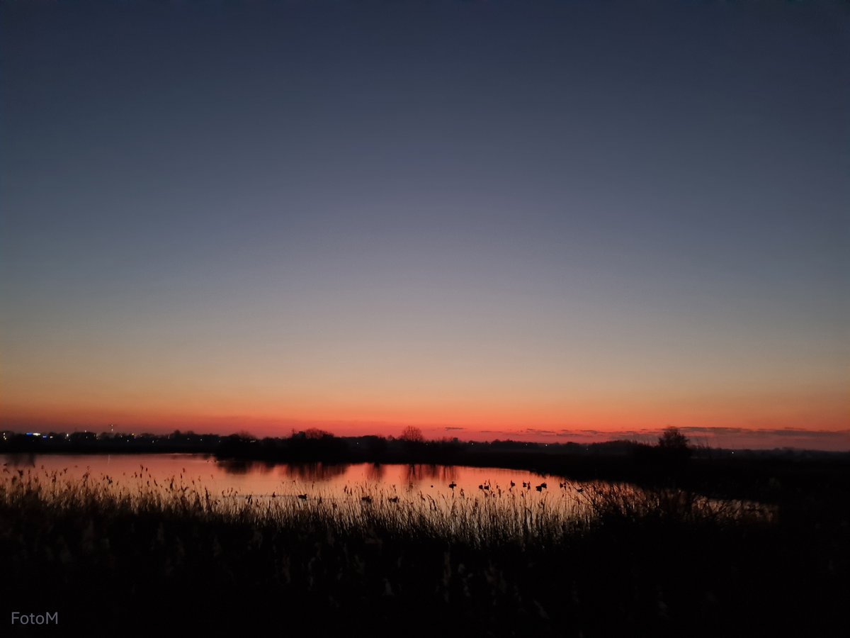 Margreeth0_0's tweet photo. Ik ben erg laat met #juni_heligrafie van @Laurentius66 Het onderwerp is #zwart. Hier het zwart voordat het licht wordt. Fijne avond allemaal πβ¨ https://t.co/knQvMz3Ma3