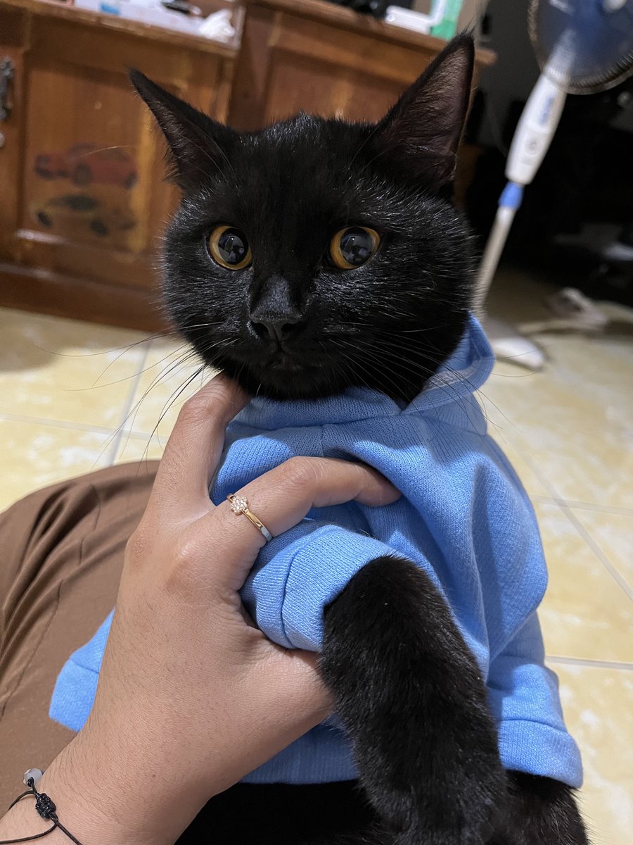 yunofcl's tweet photo. Kok kalian bisa sih tiap ngetwit "cenblue ayo mutualan" itu yg views banyak banget?

*gw jadi krisis eksistensial

Kuy folbek folbekan 💙 https://t.co/GbzaOR52pN