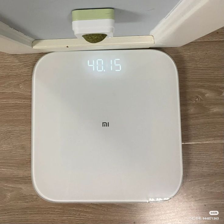 mimi is seeing bts 𓏲𑁘 (-2.5kg/-20kg) tweet media